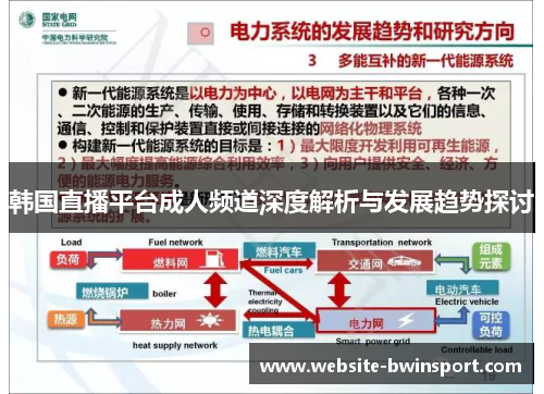 韩国直播平台成人频道深度解析与发展趋势探讨